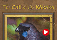The Call of the Kokako